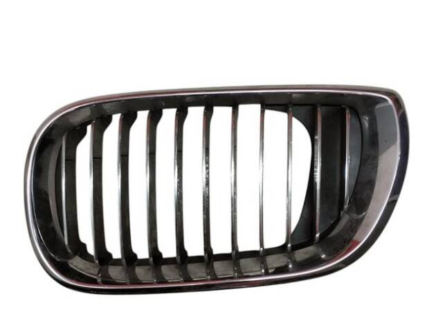 Rejilla BMW E46 II Izquierda